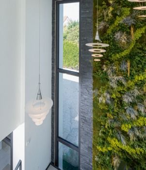 ventanas kline